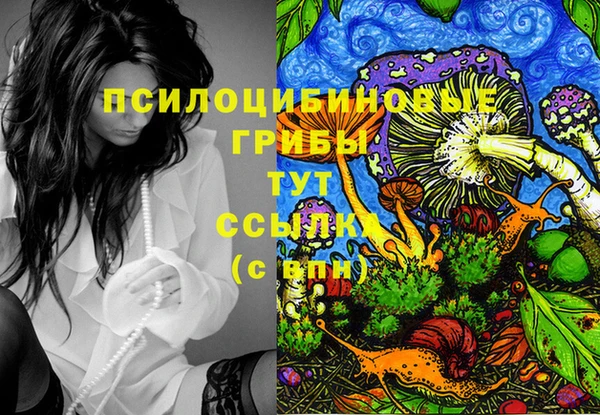 дурь Осташков