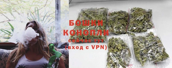 дурь Осташков