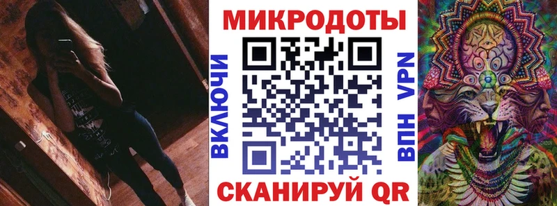 Псилоцибиновые грибы Psilocybine cubensis  Аша 
