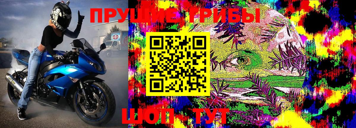 Галлюциногенные грибы ЛСД  где найти   Аша 