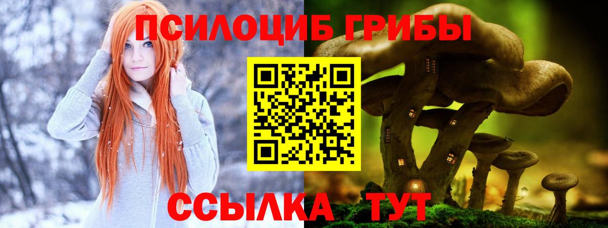 Псилоцибиновые грибы Psilocybine cubensis  Вход с VPN  Аша 
